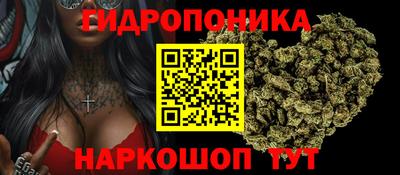 дживик Кунгур