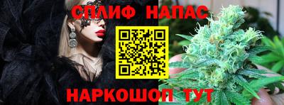прущие крисы Кулебаки