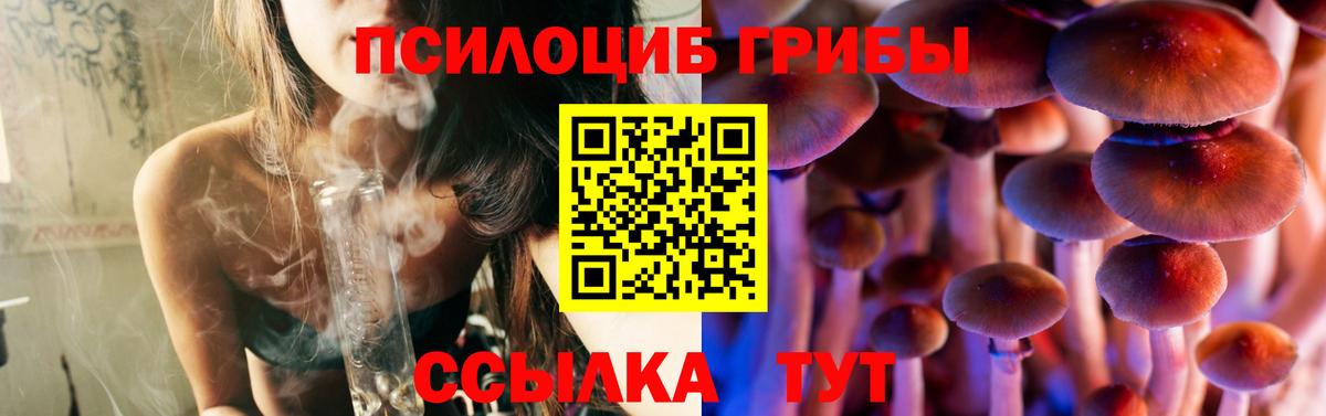 Псилоцибиновые грибы MAGIC MUSHROOMS  Вход с VPN  Ирбит 